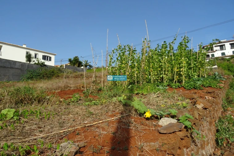 Terreno para Venda em São Martinho Foto 16