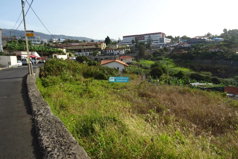 Terreno para Venda em São Martinho Foto 20