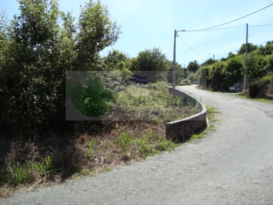 Terreno para Venda em Pessegueiro do Vouga Foto 1