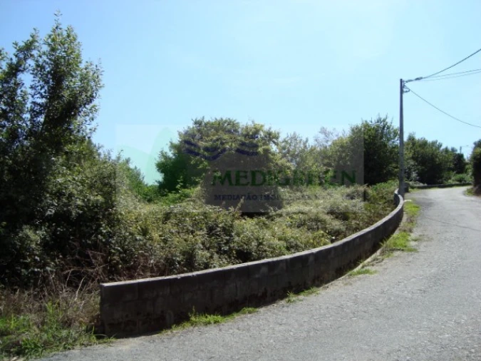 Terreno para Venda em Pessegueiro do Vouga Foto 3