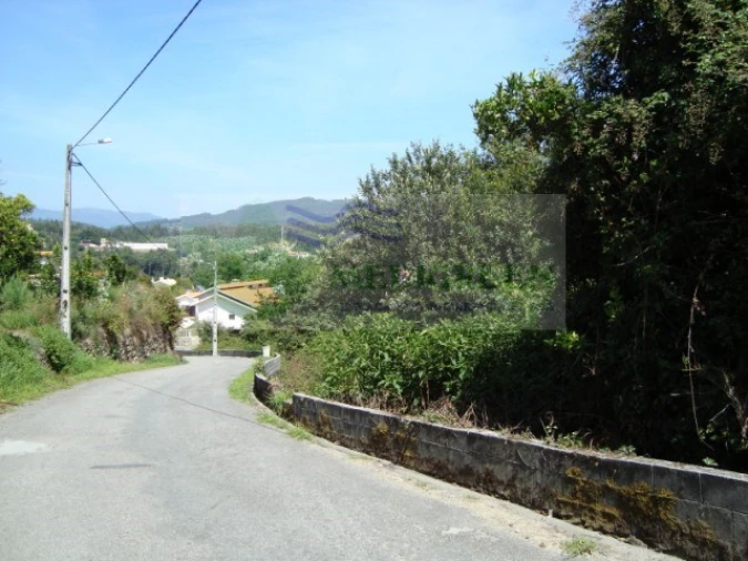 Terreno para Venda em Pessegueiro do Vouga Foto 4