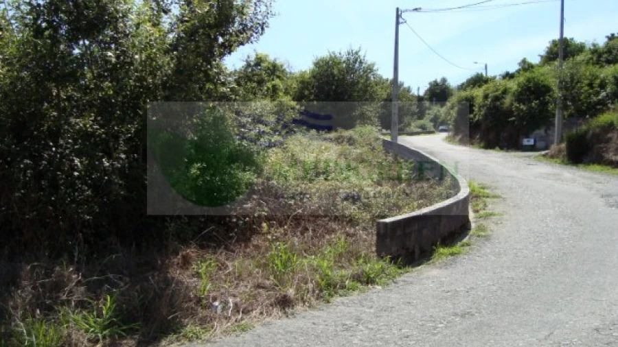 Terreno para Venda em Pessegueiro do Vouga