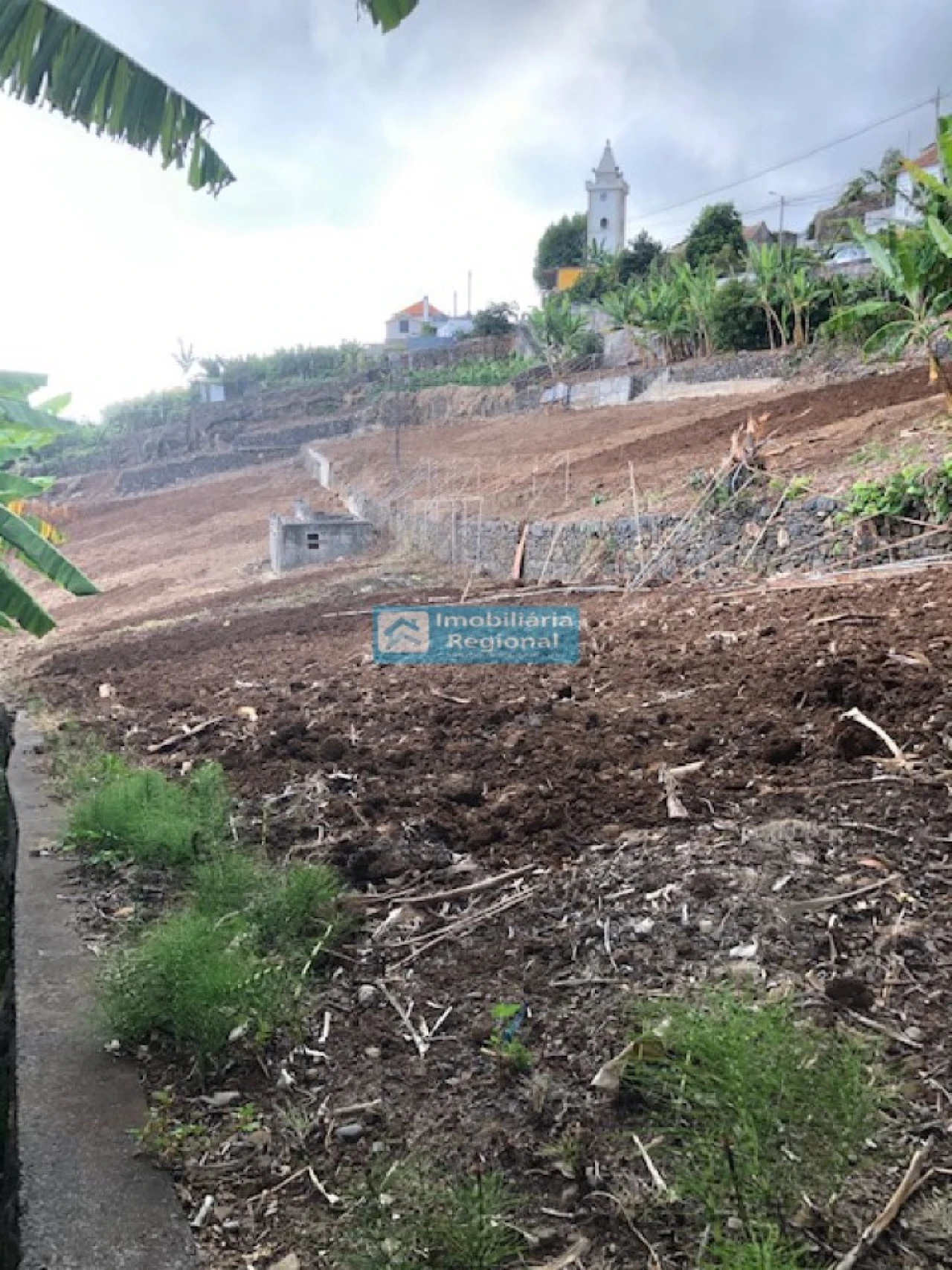 Terreno para Venda em Ponta do Sol Foto 15