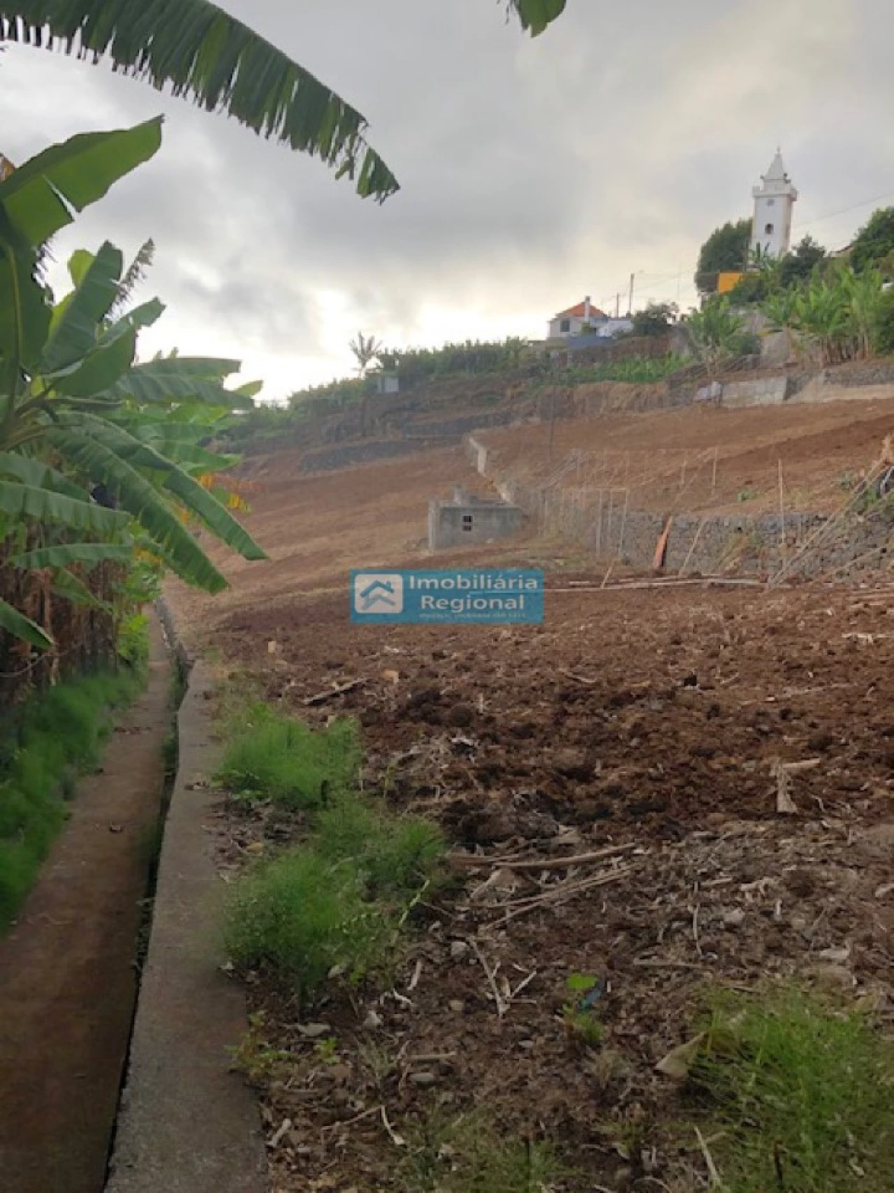 Terreno para Venda em Ponta do Sol Foto 16