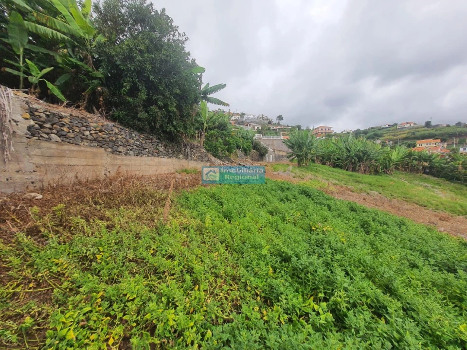 Terreno para Venda em Ponta do Sol Foto 4