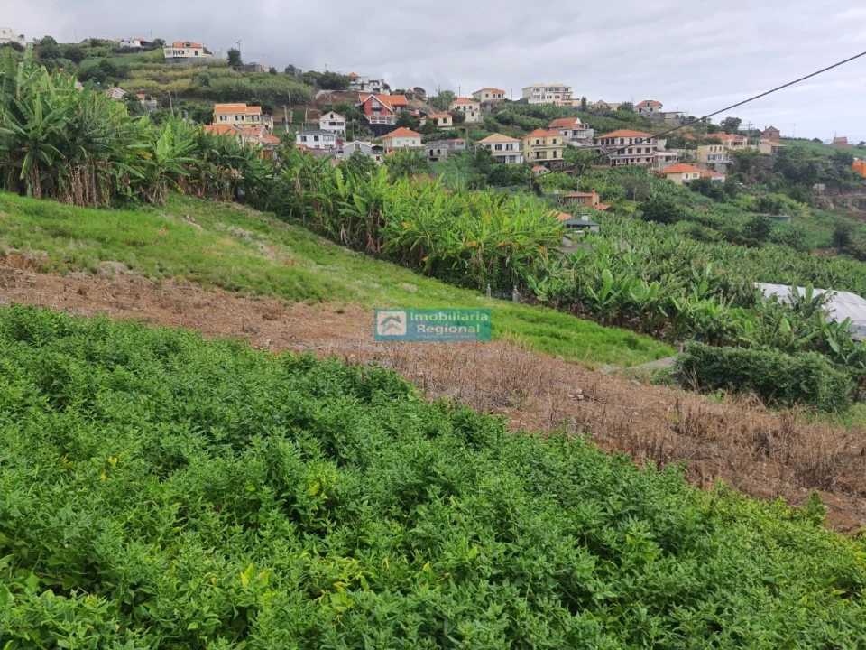 Terreno para Venda em Ponta do Sol Foto 12