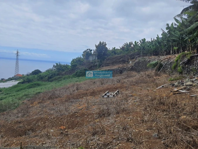 Terreno para Venda em Ponta do Sol Foto 5