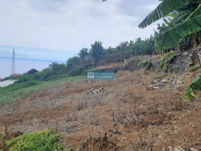 Terreno para Venda em Ponta do Sol Foto 6