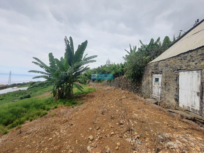 Terreno para Venda em Ponta do Sol Foto 8