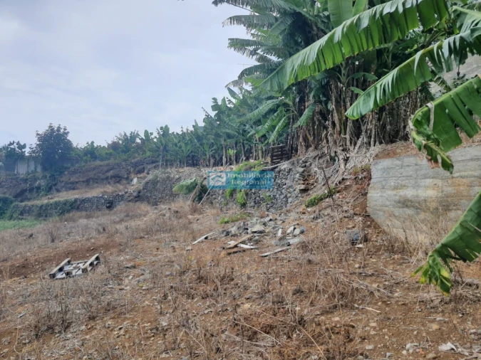 Terreno para Venda em Ponta do Sol Foto 10