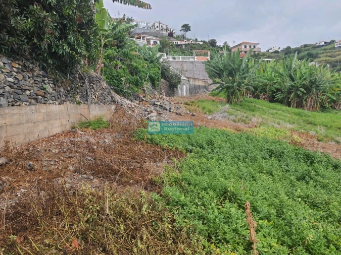 Terreno para Venda em Ponta do Sol Foto 13