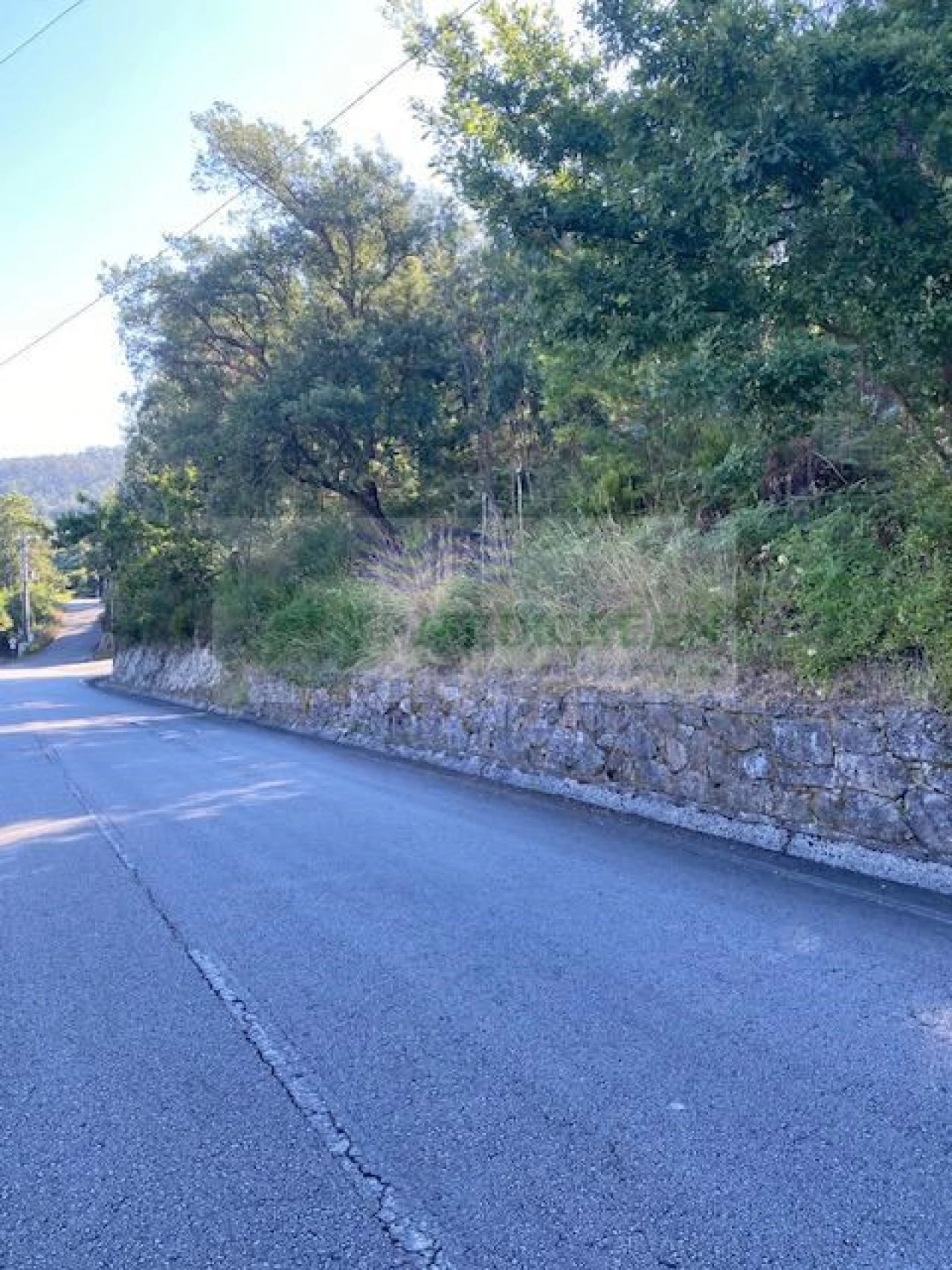 Terreno para Venda em Cedrim e Paradela Foto 1