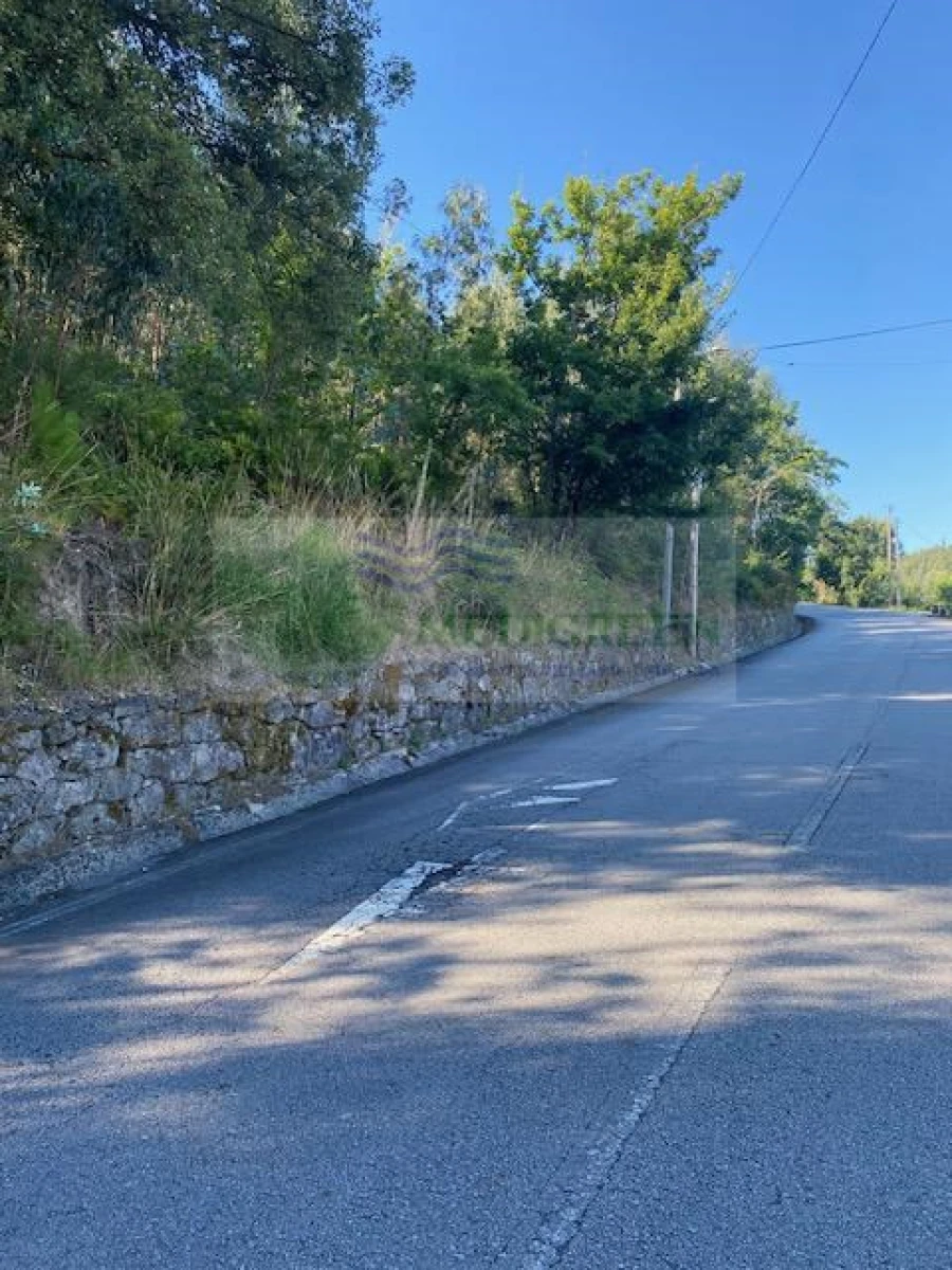 Terreno para Venda em Cedrim e Paradela Foto 2