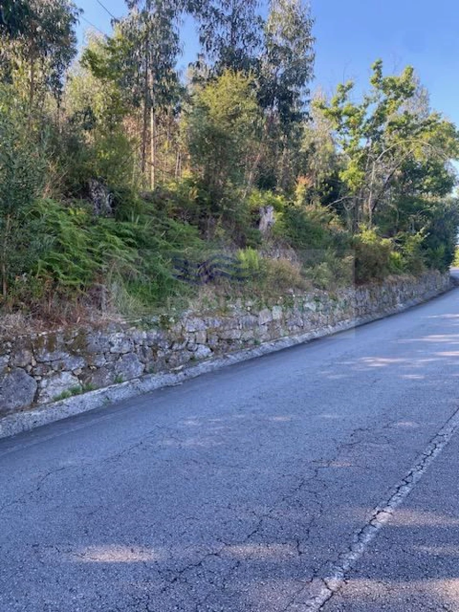 Terreno para Venda em Cedrim e Paradela Foto 3