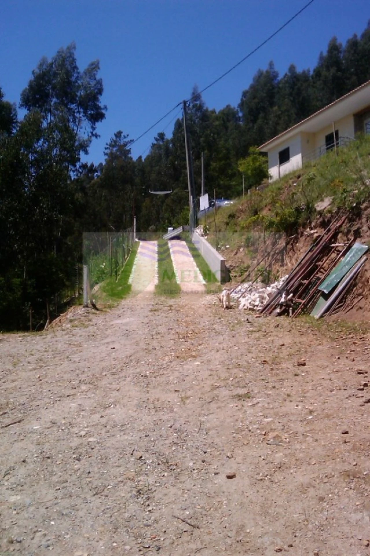 Terreno para Venda em Sever do Vouga Foto 2