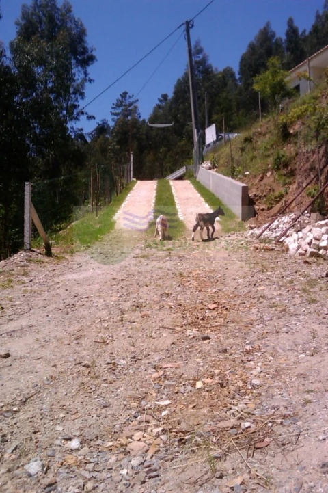 Terreno para Venda em Sever do Vouga