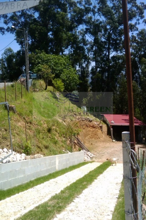 Terreno para Venda em Sever do Vouga