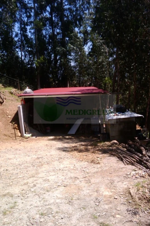 Terreno para Venda em Sever do Vouga