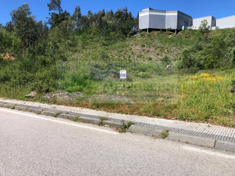 Terreno para Venda em Sever do Vouga Foto 2