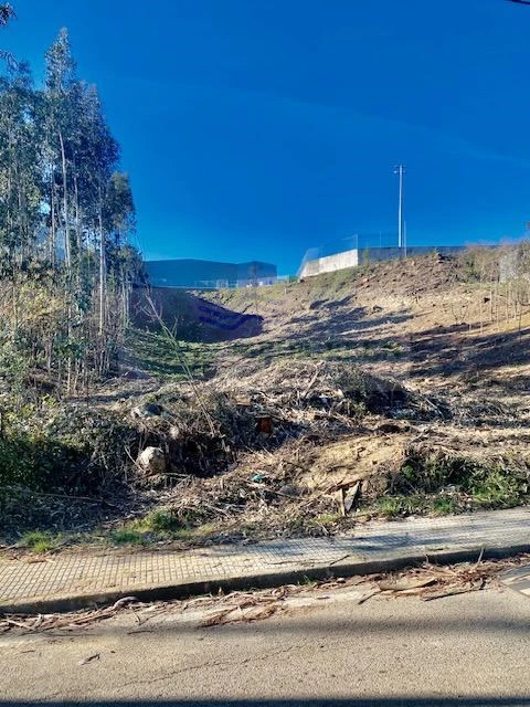 Terreno para Venda em Sever do Vouga