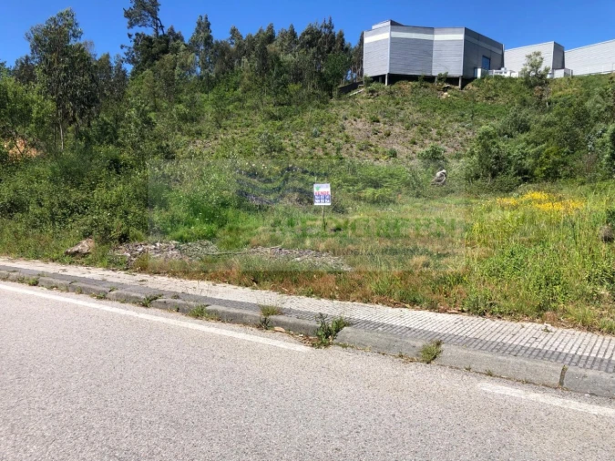 Terreno para Venda em Sever do Vouga Foto 2