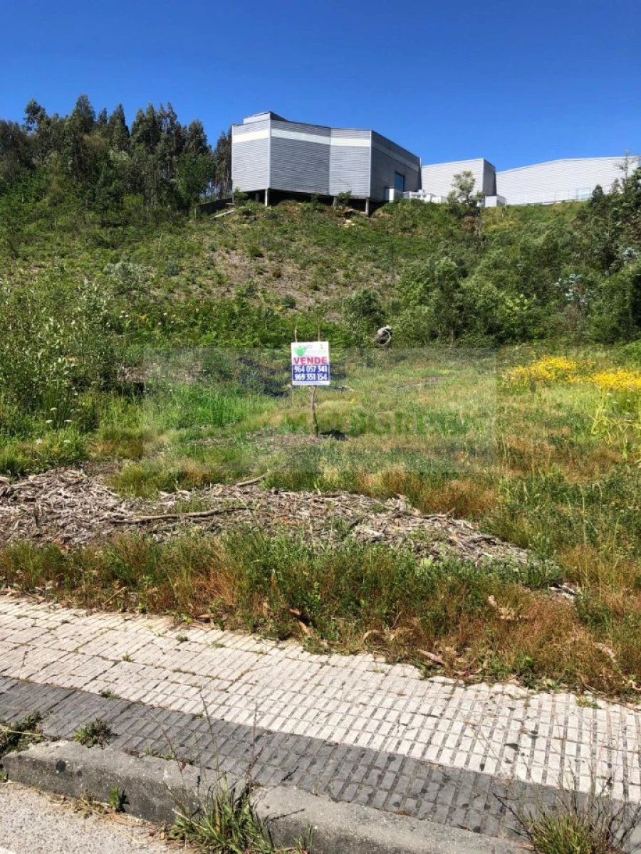 Terreno para Venda em Sever do Vouga Foto 13