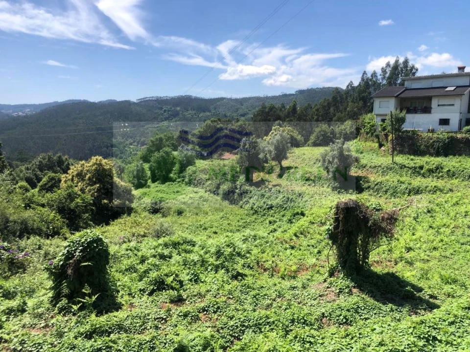 Terreno para Venda em Cedrim e Paradela Foto 5