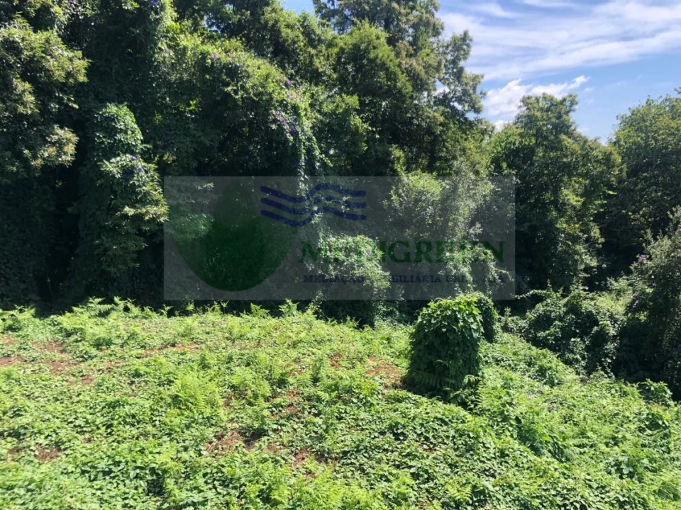 Terreno para Venda em Cedrim e Paradela Foto 7