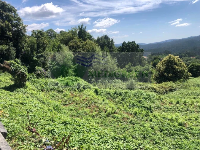 Terreno para Venda em Cedrim e Paradela Foto 9