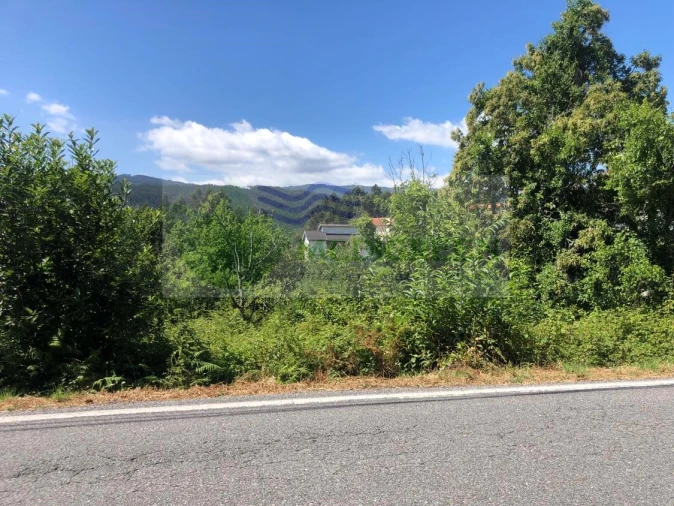 Terreno para Venda em Cedrim e Paradela Foto 10