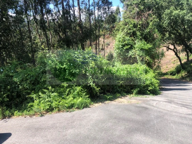 Terreno para Venda em Cedrim e Paradela Foto 17