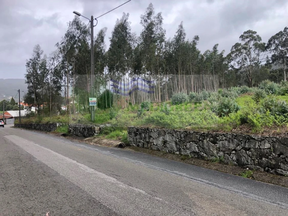 Terreno para Venda em Silva Escura e Dornelas Foto 7
