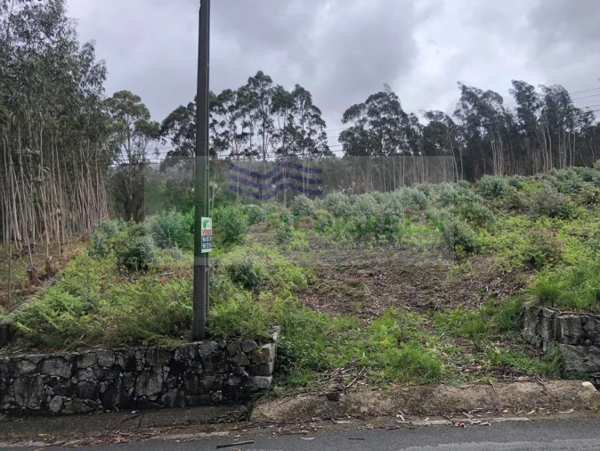 Terreno para Venda em Silva Escura e Dornelas Foto 3