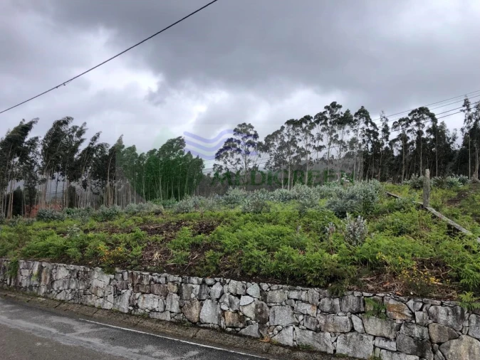 Terreno para Venda em Silva Escura e Dornelas Foto 4