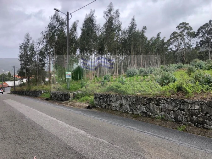 Terreno para Venda em Silva Escura e Dornelas Foto 7