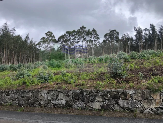 Terreno para Venda em Silva Escura e Dornelas Foto 9