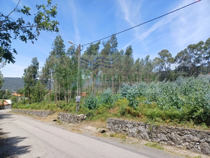 Terreno para Venda em Silva Escura e Dornelas