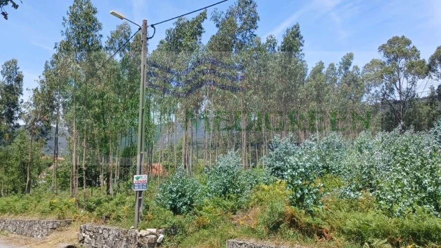 Terreno para Venda em Silva Escura e Dornelas
