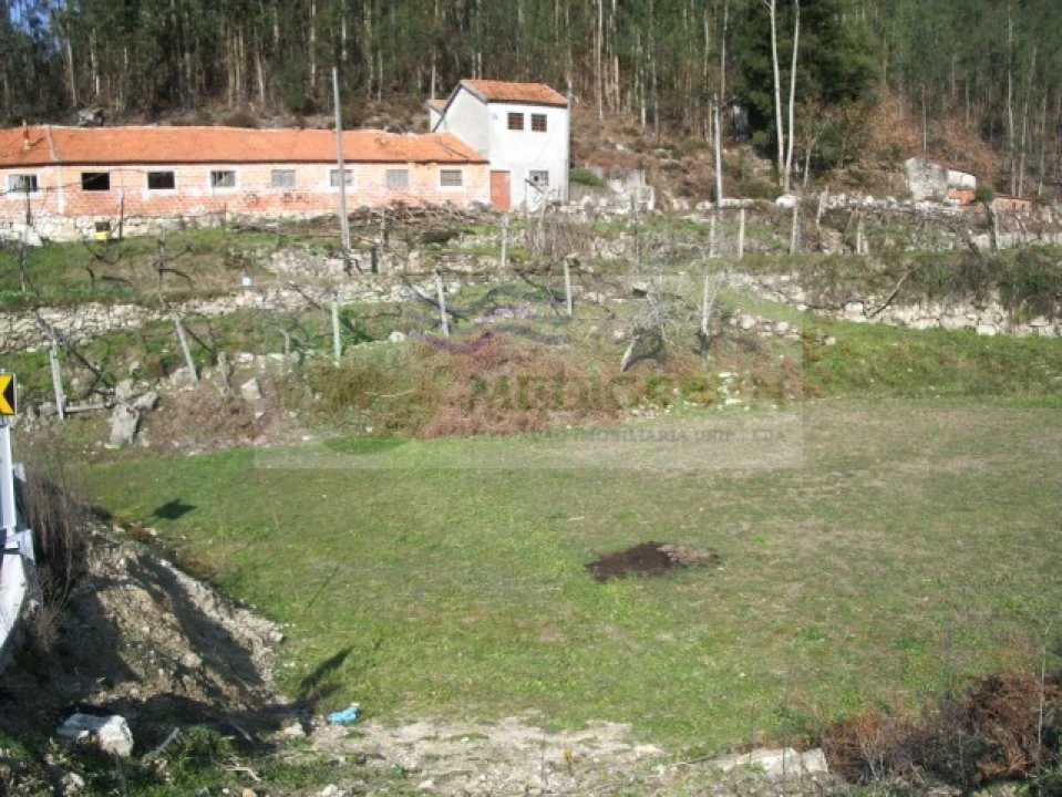Terreno para Venda em Cedrim e Paradela Foto 3
