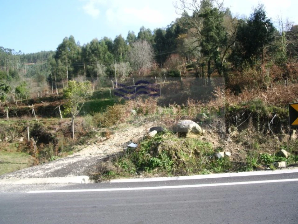 Terreno para Venda em Cedrim e Paradela Foto 4