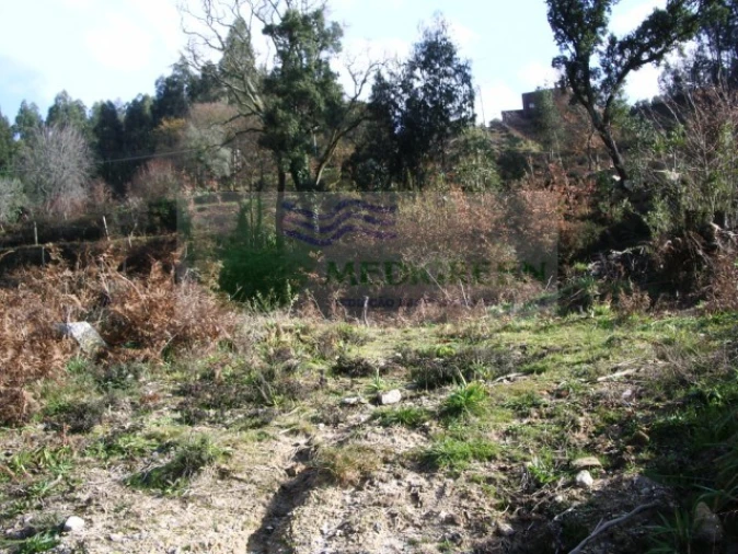Terreno para Venda em Cedrim e Paradela Foto 2