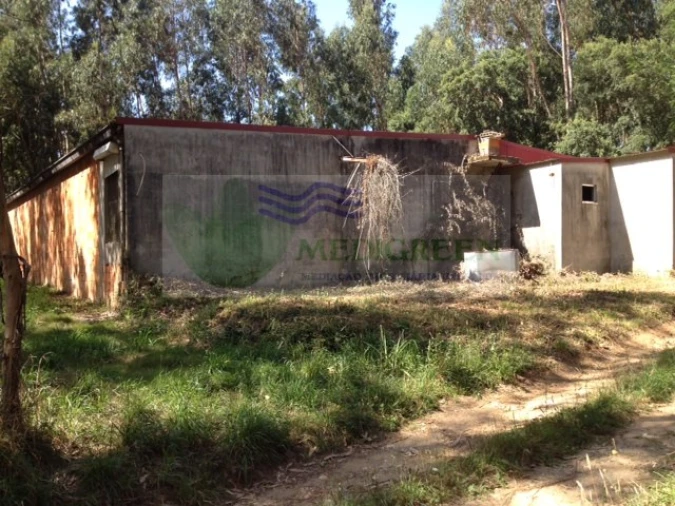 Terreno para Venda em Valongo do Vouga Foto 4