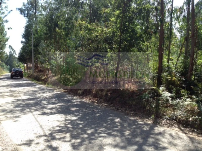 Terreno para Venda em Valongo do Vouga Foto 8