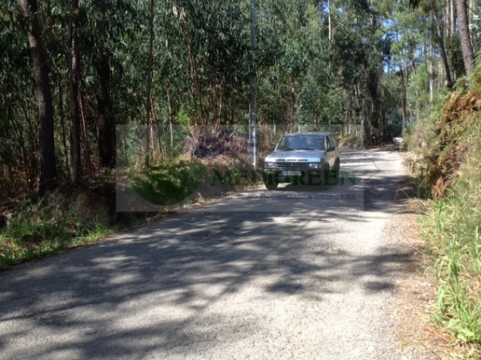 Terreno para Venda em Valongo do Vouga Foto 9