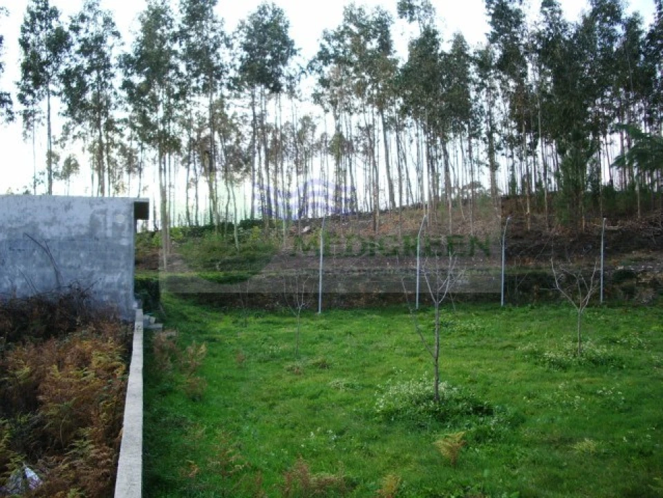 Terreno para Venda em Rocas do Vouga Foto 1