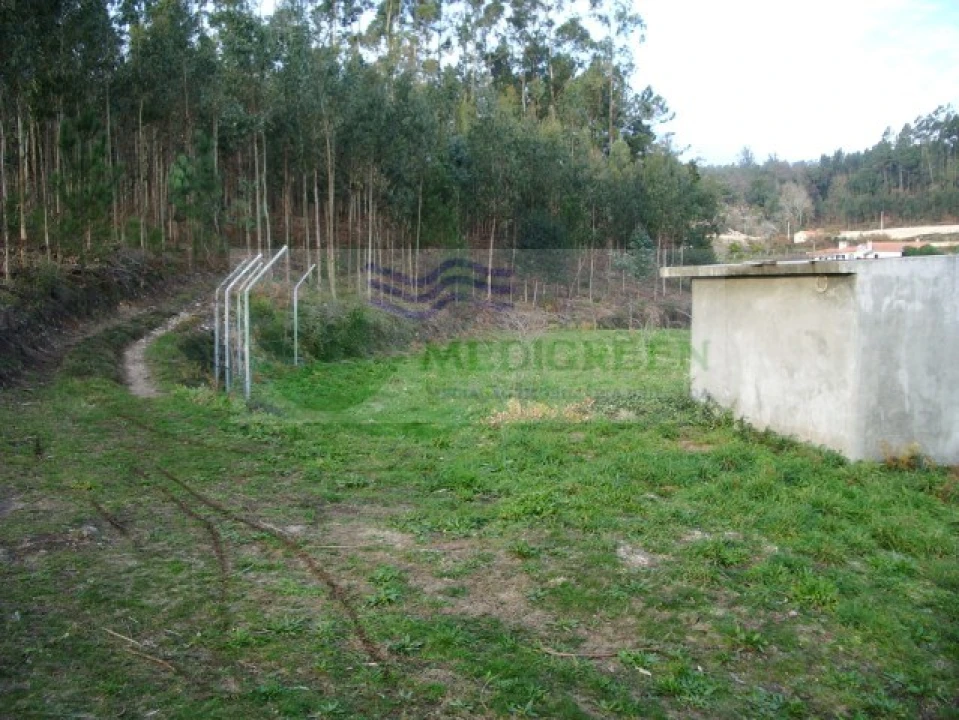 Terreno para Venda em Rocas do Vouga Foto 4