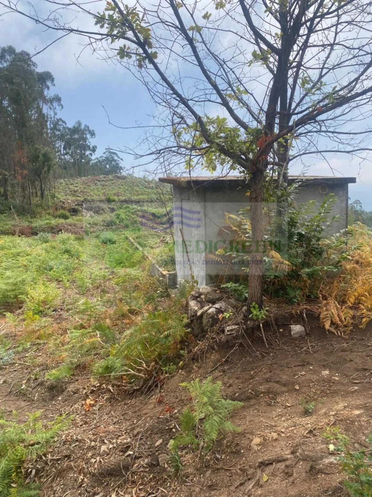 Terreno para Venda em Rocas do Vouga Foto 2
