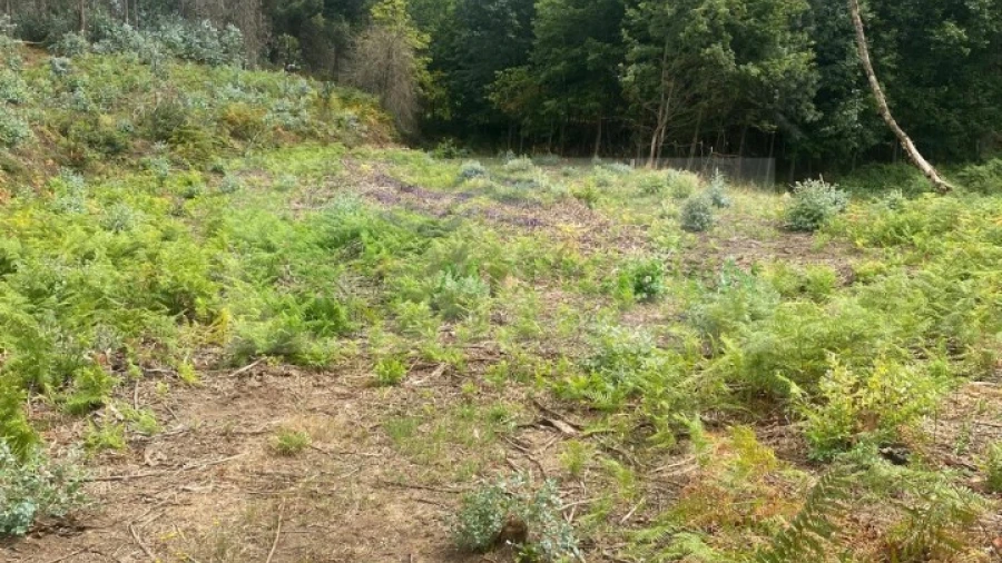 Terreno para Venda em Rocas do Vouga