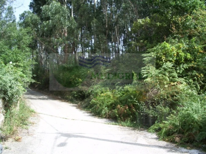 Terreno para Venda em Pessegueiro do Vouga
