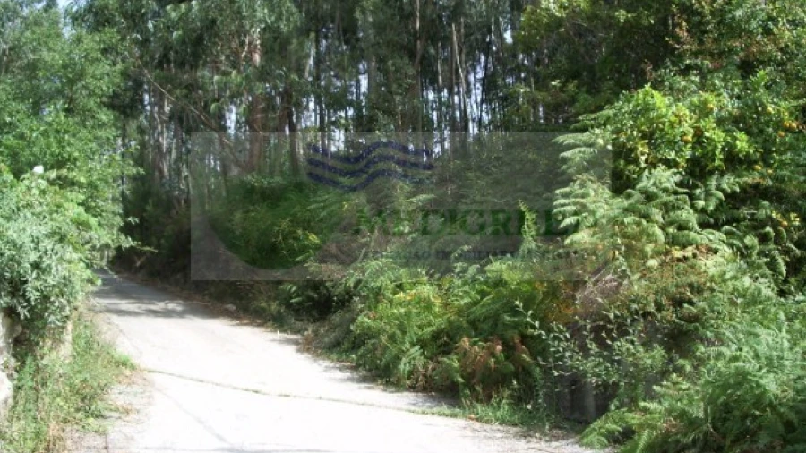Terreno para Venda em Pessegueiro do Vouga